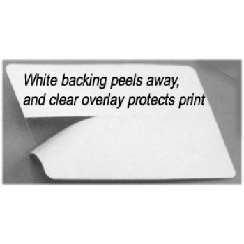 UV Blocking Credit Card Overlay - 100 pack